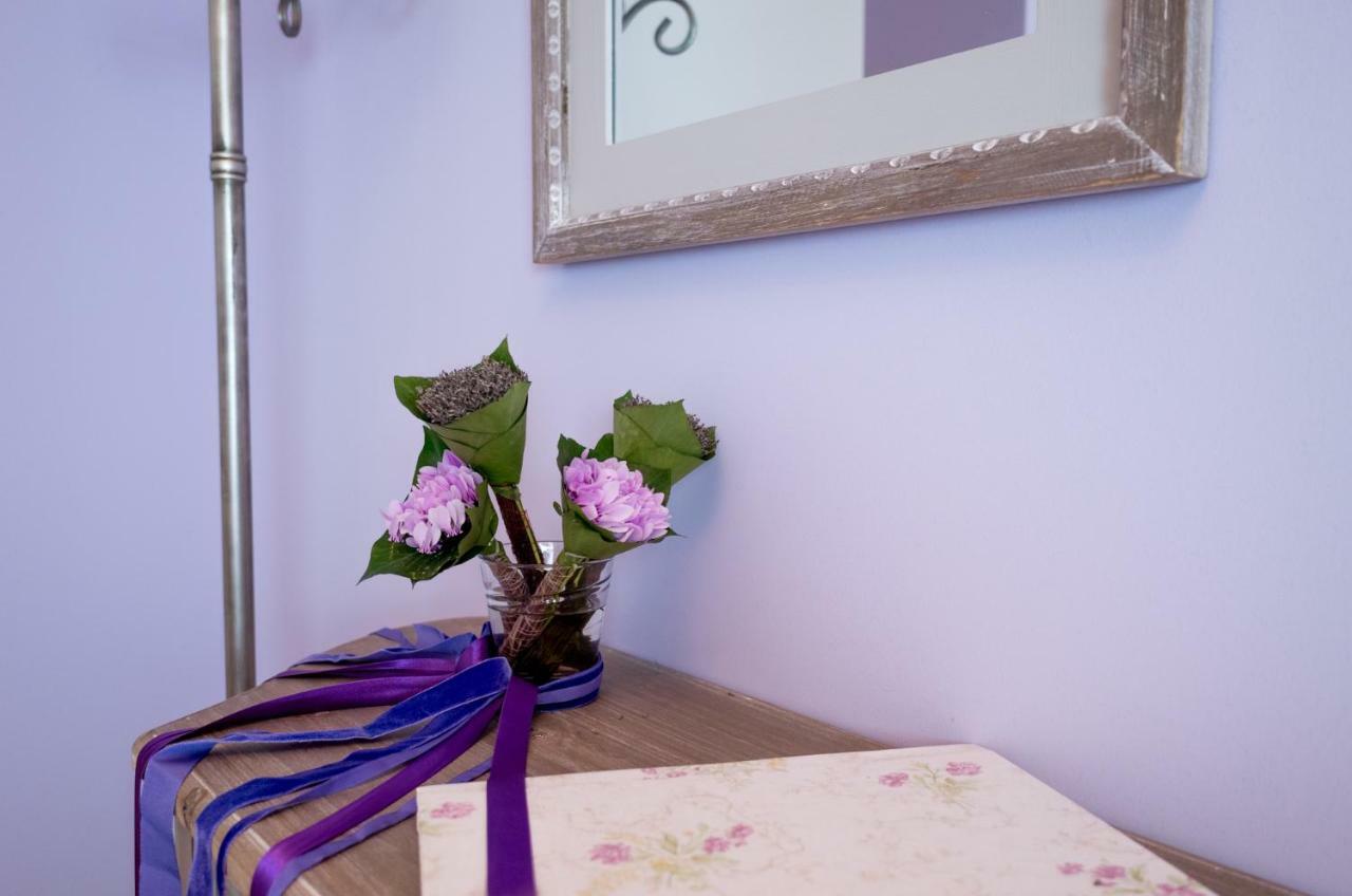 The House Of Lavender Apartment *